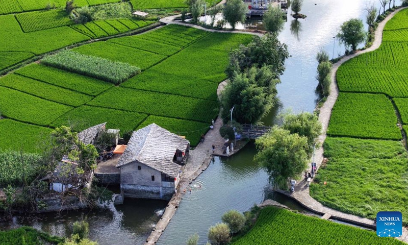 An aerial drone photo taken on July 24, 2024 shows a view of Baojiatun Village in Xixiu District of Anshun City, southwest China's Guizhou Province. In Anshun City, southwest China's Guizhou Province, ancient stone buildings and unique local traditions have made a cluster of villages popular tourist destinations for many visitors. The stone-structured Tunpu residential buildings were built in the Ming Dynasty (1368-1644), when some troops were sent to Anshun, where they built villages and turned the neighborhood into farmland for growing crops. Their descendants have lived there over generations, and formed the unique Tunpu culture which preserved distinctive customs, architectures, operas and costumes of ancient times.  Photo: Xinhua