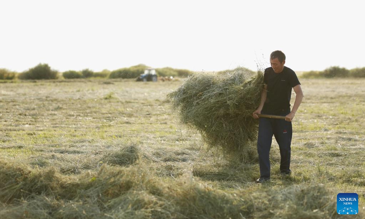 A farmer mows forage grass on a pasture in Akmola region in northern Kazakhstan, Aug. 4, 2024. The pastoral area in Kazakhstan has entered into its grass mowing season. (Photo: Xinhua)