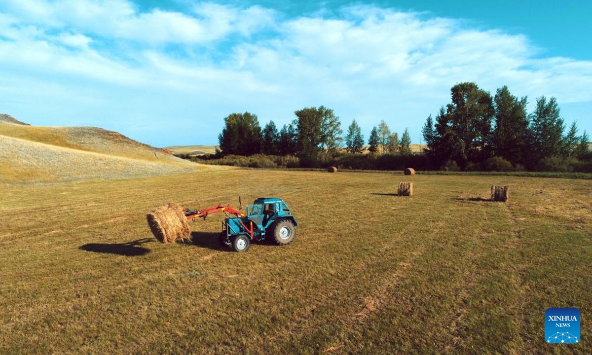 An aerial drone photo taken on Aug. 4, 2024 shows a herdsman operating a machine to mow grass on a grassland in Akmola region in northern Kazakhstan. The pastoral area in Kazakhstan has entered into its grass mowing season. (Photo: Xinhua)