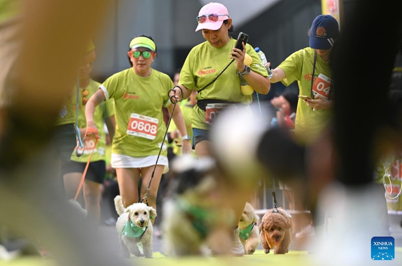 Dogs and their owners attend Bark Day Fun Run at Senayan Park in Jakarta, Indonesia, on Aug. 11, 2024. This event aims to call for more attention to the welfare of dogs and stop the dog meat trade. Photo: Xinhua