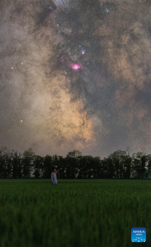 This composite photo taken on Aug. 3, 2024 shows the starry sky over a paddy field in Changxing Village of Yanshan Town, Fujin City, northeast China's Heilongjiang Province. Photo: Xinhua