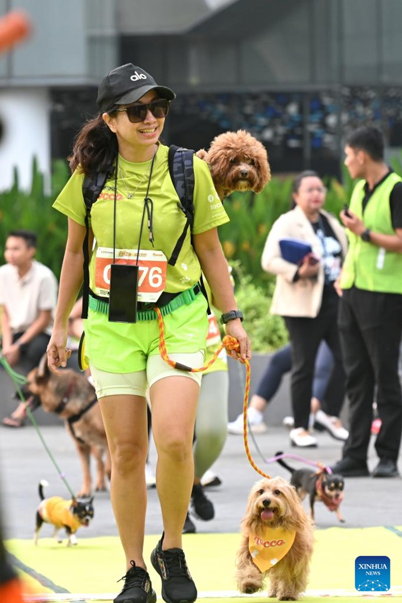 Dogs and their owners attend Bark Day Fun Run at Senayan Park in Jakarta, Indonesia, on Aug. 11, 2024. This event aims to call for more attention to the welfare of dogs and stop the dog meat trade. Photo: Xinhua