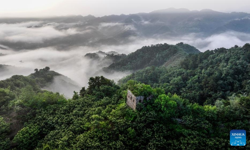 An aerial drone photo taken on Aug. 11, 2024 shows a section of the Great Wall shrouded in clouds in Xinglong County of Chengde City, north China's Hebei Province. Photo: Xinhua