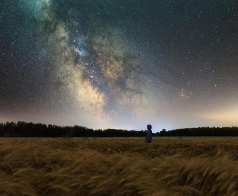 This composite photo taken on July 30, 2024 shows the starry sky over a wheat field in Wanyou Village of Shangjieji Town, Fujin City, northeast China's Heilongjiang Province. Photo: Xinhua