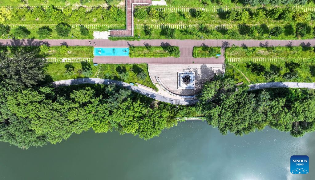 An aerial drone photo taken on Aug. 8, 2024 shows the scenery of a city park in north China's Tianjin Municipality. August 8, the opening day of the Beijing Olympics, was designated as National Fitness Day in China, reflecting the growing integration of sports into everyday life. (Photo: Xinhua)