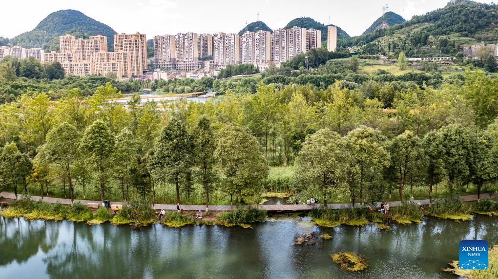 An aerial drone photo taken on Aug. 7, 2024 shows the scenery of Minghu Lake National Wetland Park in Zhongshan District of Liupanshui, southwest China's Guizhou Province. The wetland park, located in Zhongshan District of Liupanshui, is rich in vegetation. (Photo: Xinhua)