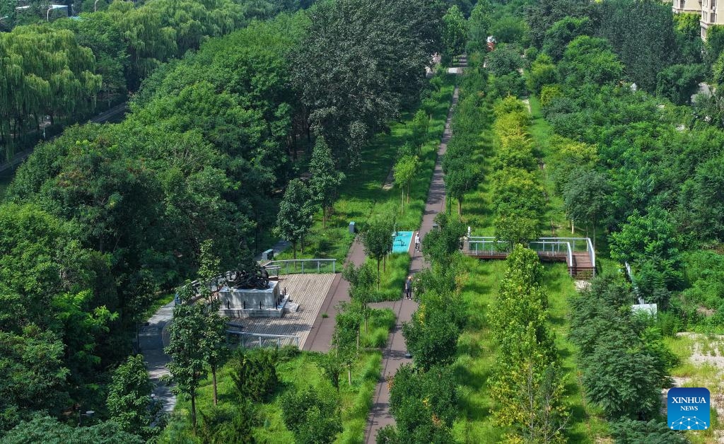 An aerial drone photo taken on Aug. 8, 2024 shows the scenery of a city park in north China's Tianjin Municipality. August 8, the opening day of the Beijing Olympics, was designated as National Fitness Day in China, reflecting the growing integration of sports into everyday life. (Photo: Xinhua)