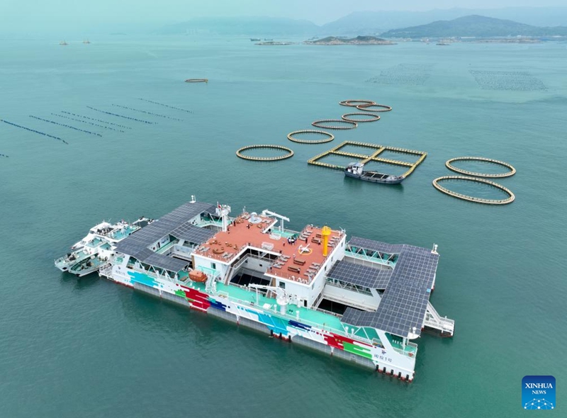 An aerial drone photo taken on Aug. 9, 2024 shows a deep-sea aquaculture platform in Lianjiang County of Fuzhou, southeast China's Fujian Province. Lianjiang County has been actively exploring and supporting the construction of deep-sea aquaculture platforms. Eleven platforms have been put into use here since 2018 and the annual output of high-quality fish reaches nearly 2,000 tonnes.  Photo: Xinhua