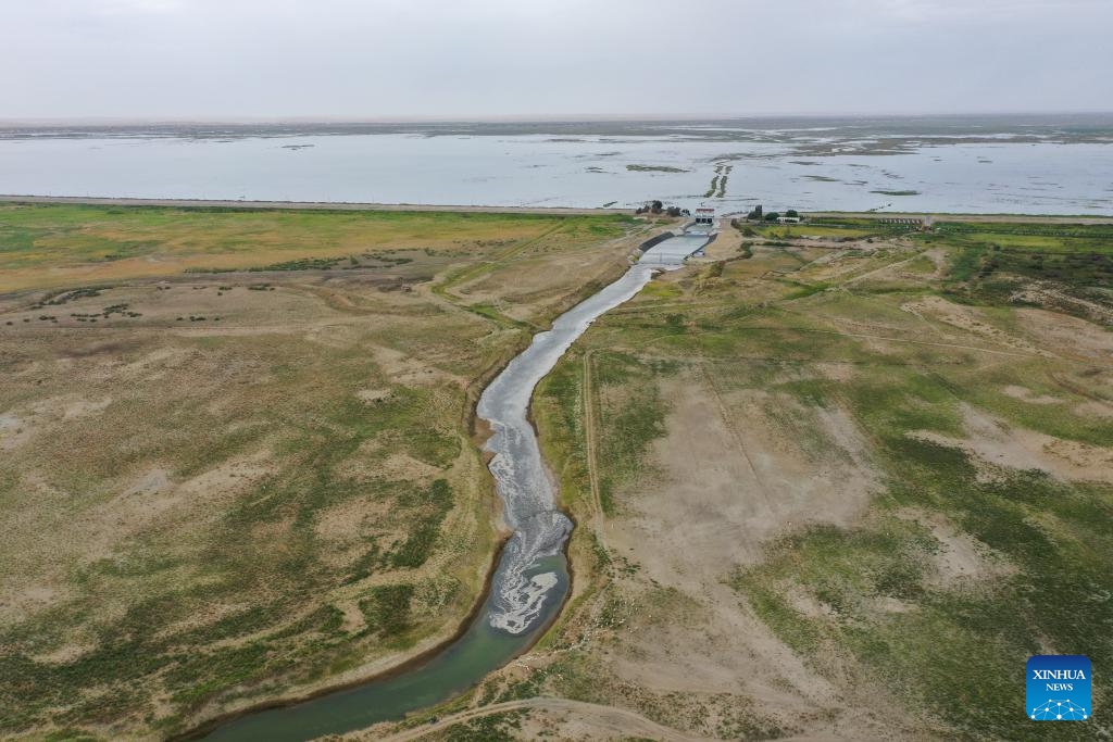 An aerial drone photo taken on Aug. 12, 2024 shows water flowing from the Daxihaizi Reservoir into the river course in Yuli County, northwest China's Xinjiang Uygur Autonomous Region. Northwest China's Xinjiang Uygur Autonomous Region on Monday began discharging water from a reservoir into the Tarim River, China's longest inland river, as part of an ongoing ecological conservation project in the region. （Photo: Xinhua)