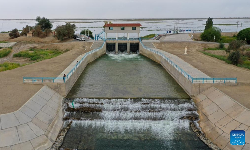 A drone photo taken on Aug. 12, 2024 shows water flowing from the Daxihaizi Reservoir into the river course in Yuli County, northwest China's Xinjiang Uygur Autonomous Region. Northwest China's Xinjiang Uygur Autonomous Region on Monday began discharging water from a reservoir into the Tarim River, China's longest inland river, as part of an ongoing ecological conservation project in the region. （Photo: Xinhua)