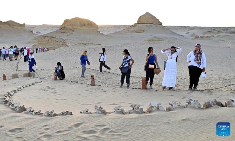 Tourists visit whale fossil remains at the Wadi Al-Hitan in Fayoum, Egypt, Aug. 12, 2024. Wadi Al-Hitan, or Whale Valley, located in the desert of Fayoum, contains invaluable fossil remains of the earliest, and now extinct, suborder of whales, Archaeoceti. (Photo: Xinhua)