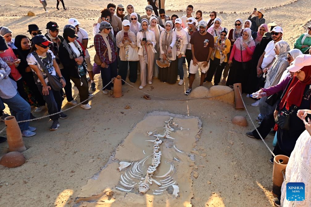 Tourists visit whale fossil remains at the Wadi Al-Hitan in Fayoum, Egypt, Aug. 12, 2024. Wadi Al-Hitan, or Whale Valley, located in the desert of Fayoum, contains invaluable fossil remains of the earliest, and now extinct, suborder of whales, Archaeoceti. (Photo: Xinhua)