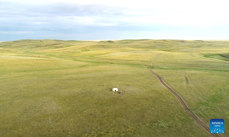 An aerial drone photo shows the grassland in Akmola region in northern Kazakhstan, Aug. 17, 2024. Photo: Xinhua