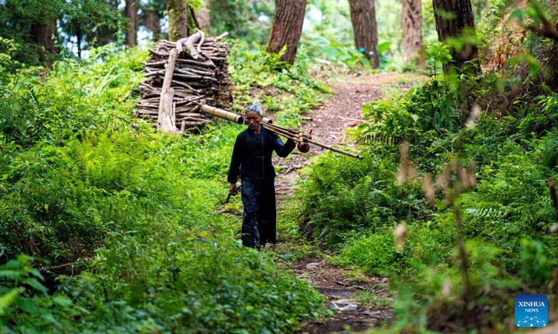 A villager is on his way to a performance in Basha Village, Congjiang County of Qiandongnan Miao and Dong Autonomous Prefecture, southwest China's Guizhou Province, Aug. 16, 2024. Photo: Xinhua