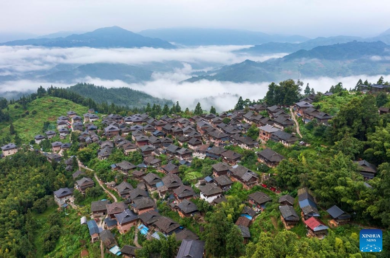 An aerial drone photo taken on Aug. 17, 2024 shows a view of Basha Village in Congjiang County of Qiandongnan Miao and Dong Autonomous Prefecture, southwest China's Guizhou Province. Photo: Xinhua