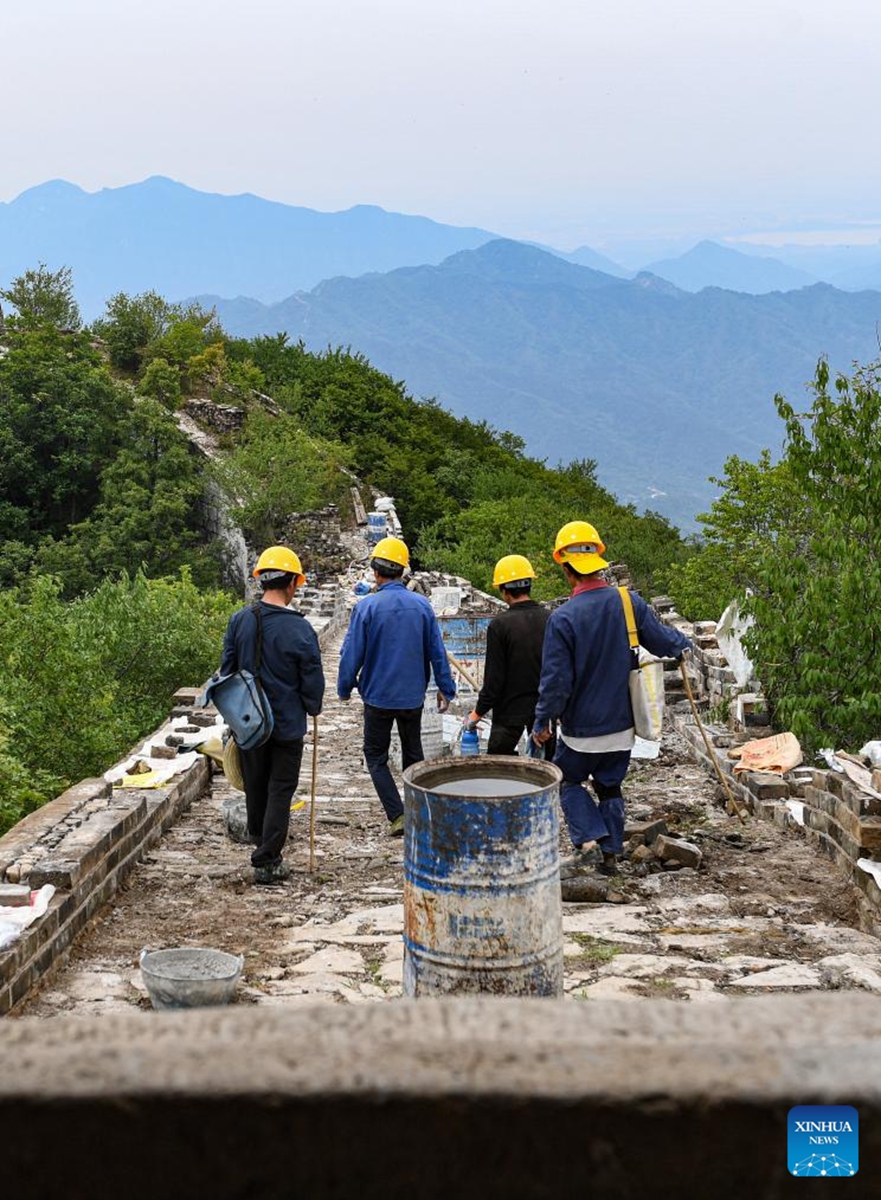 Workers are seen near a defense tower of the Jiankou section of the Great Wall in Beijing, capital of China, July 2, 2024. Covering six defense towers, from No. 117 to No. 122, the fifth phase of the Jiankou section of the Great Wall repair project has progressed smoothly. Beijing has pioneered Great Wall archaeological research, which precedes the repair work. The Jiankou section and the Dazhuangke section in Yanqing District have been selected as pilot projects to promote research-oriented restoration and protection of the Great Wall. Photo: Xinhua