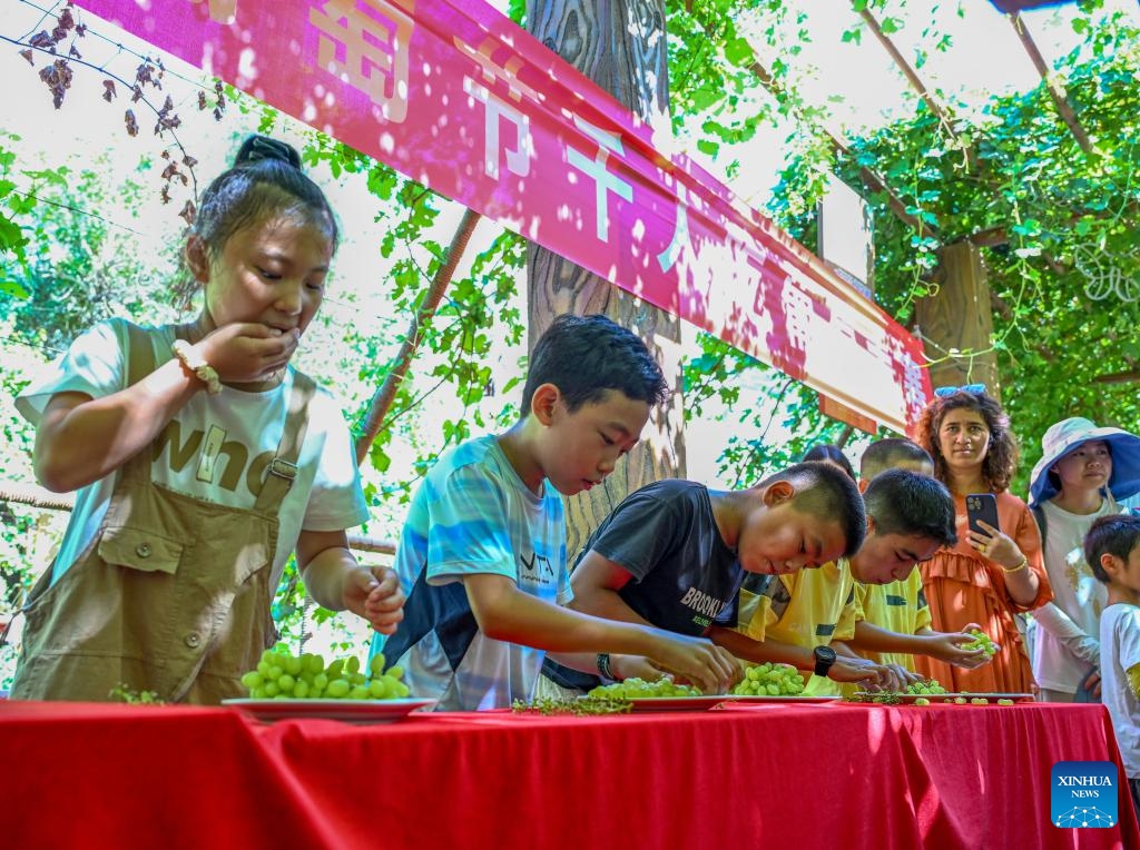 Tourists participate in a grape eating contest in the Grape Valley in Turpan, northwest China's Xinjiang Uygur Autonomous Region, Aug. 17, 2024. The three-day Turpan grape festival kicked off on Friday. With its dry and sunny climate, Turpan has a long history of growing grapes and is one of the main grape production bases in China. Its planting area totals 42,000 hectares with 550 grape varieties. (Photo: Xinhua)