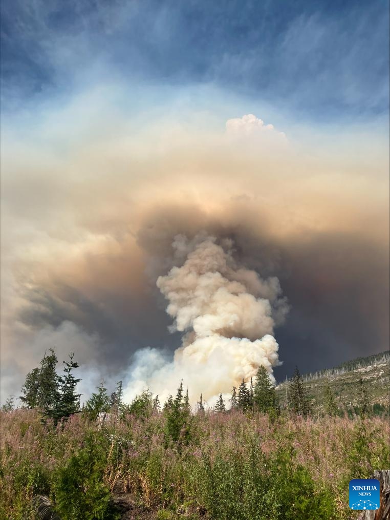 Aerial photo provided by BC Wildfire Service shows wildfires near Shetland Creek, south-central British Columbia, Canada, on Aug. 16, 2024. Until Aug. 19, there are 375 active wildfires burning, with 127 out of control, across British Columbia in Canada, according to the BC Wildfire Service. (Photo: Xinhua)