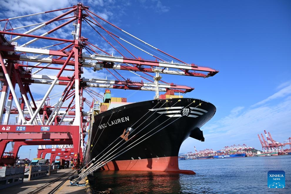 A cargo ship berths at Qianwan Port in Qingdao, east China's Shandong Province, Aug. 6, 2024. (Photo: Xinhua)