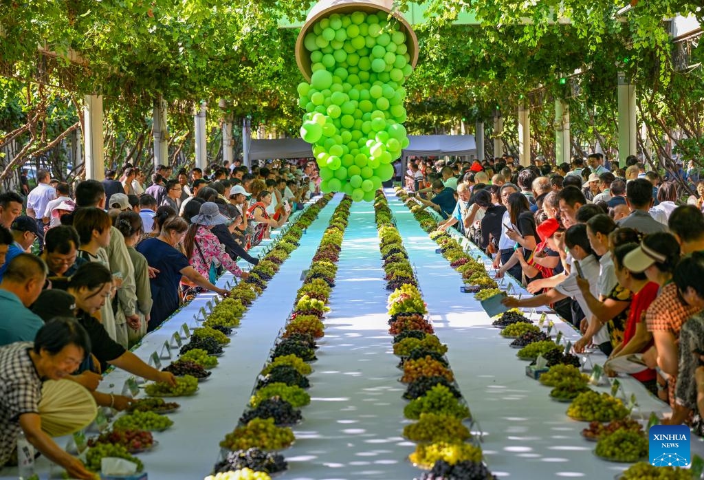 People taste grapes at a grape fair in Turpan, northwest China's Xinjiang Uygur Autonomous Region, Aug. 17, 2024. The three-day Turpan grape festival kicked off on Friday. With its dry and sunny climate, Turpan has a long history of growing grapes and is one of the main grape production bases in China. Its planting area totals 42,000 hectares with 550 grape varieties. (Photo: Xinhua)