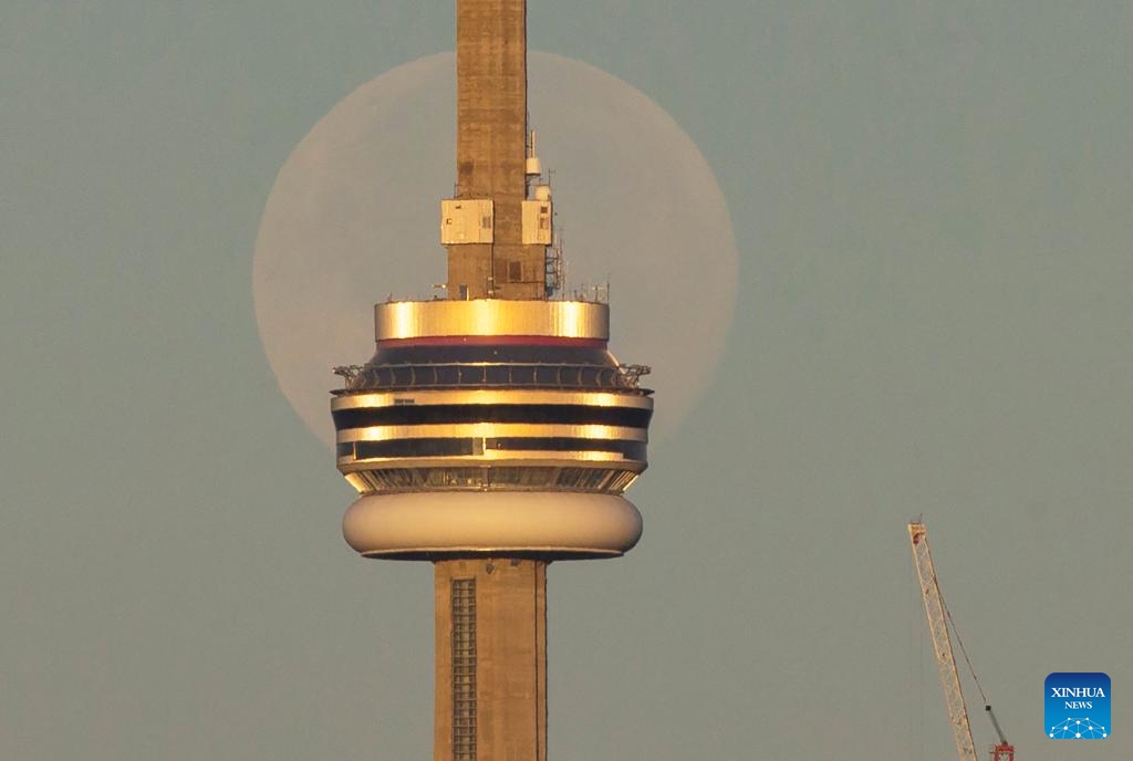 A full moon is seen with the Canadian National Tower at sunrise in Toronto, Canada, on Aug. 20, 2024. (Photo: Xinhua)