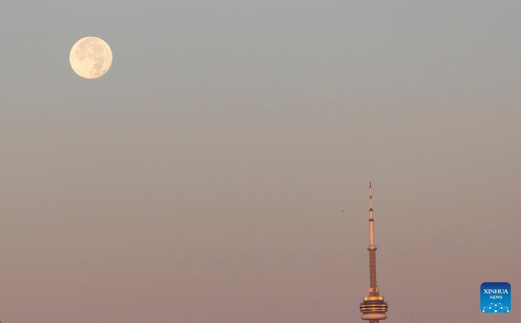 A full moon is seen with the Canadian National Tower at sunrise in Toronto, Canada, on Aug. 20, 2024. (Photo: Xinhua)