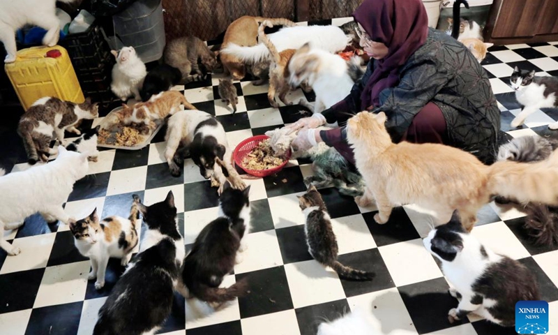 Maha Al-Dhabhani feeds animals at her shelter for stray animals in Sanaa, Yemen, Aug. 14, 2024. (Photo: Xinhua)