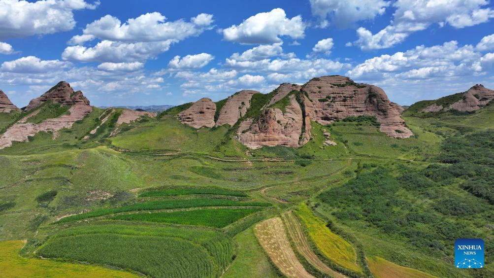 An aerial drone photo shows the Danxia landform at the Huoshizhai National Geological (Forest) Park in Xiji County of Guyuan, northwest China's Ningxia Hui Autonomous Region, Aug. 18, 2024. The park is famous for its Danxia landform, a unique type of geomorphology formed from red-colored sandstones and characterized by steep cliffs. (Photo: Xinhua)