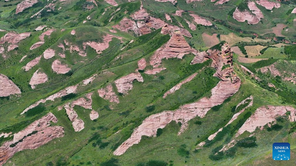 An aerial drone photo shows the Danxia landform at the Huoshizhai National Geological (Forest) Park in Xiji County of Guyuan, northwest China's Ningxia Hui Autonomous Region, Aug. 18, 2024. The park is famous for its Danxia landform, a unique type of geomorphology formed from red-colored sandstones and characterized by steep cliffs. (Photo: Xinhua)