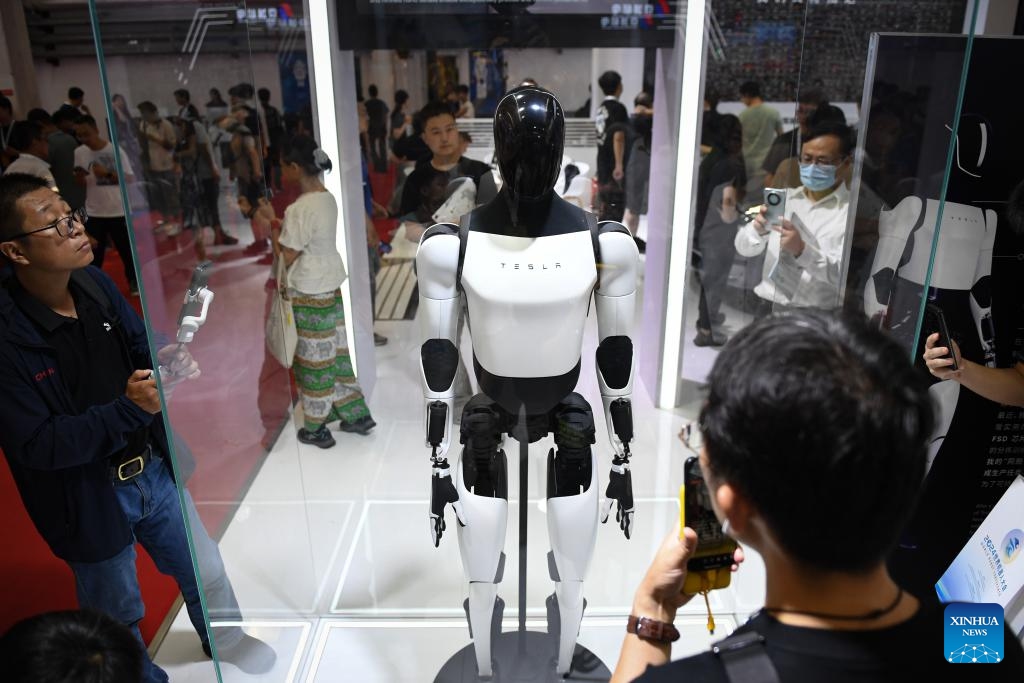 A robot is pictured at the booth of Tesla during the World Robot Conference 2024 in Beijing, capital of China, Aug. 21, 2024. The World Robot Conference 2024 opened here on Wednesday. (Photo: Xinhua)