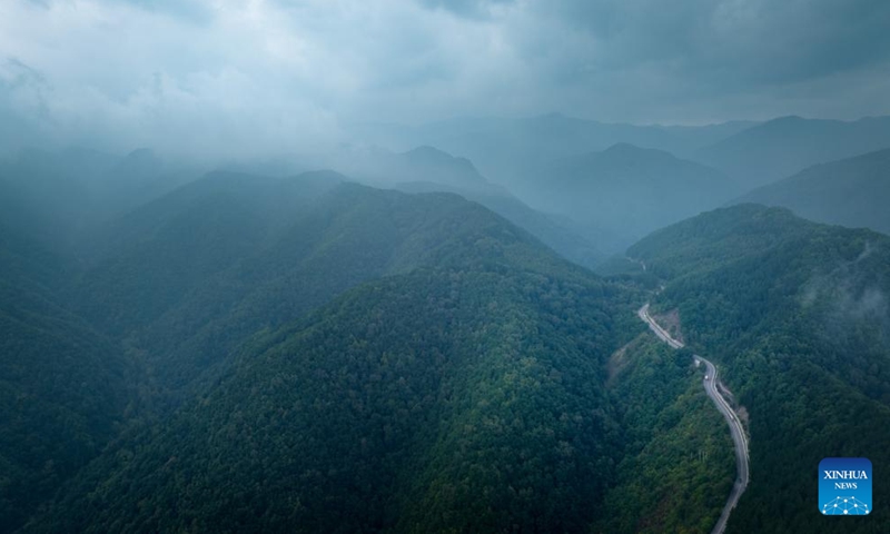 An aerial drone photo taken on Aug. 24, 2024 shows a view of Liupanshan National Forest Park shrouded in clouds in Guyuan City, northwest China's Ningxia Hui Autonomous Region. (Xinhua/Feng Kaihua)