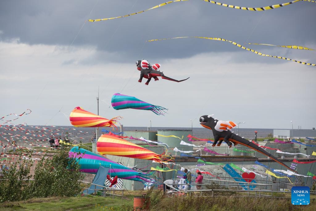 Kites fly in the sky during a kite festival in Kronstadt, St. Petersburg, Russia, Aug. 24, 2024. The festival was held here from Aug. 24 to 25. (Photo by Irina Motina/Xinhua)