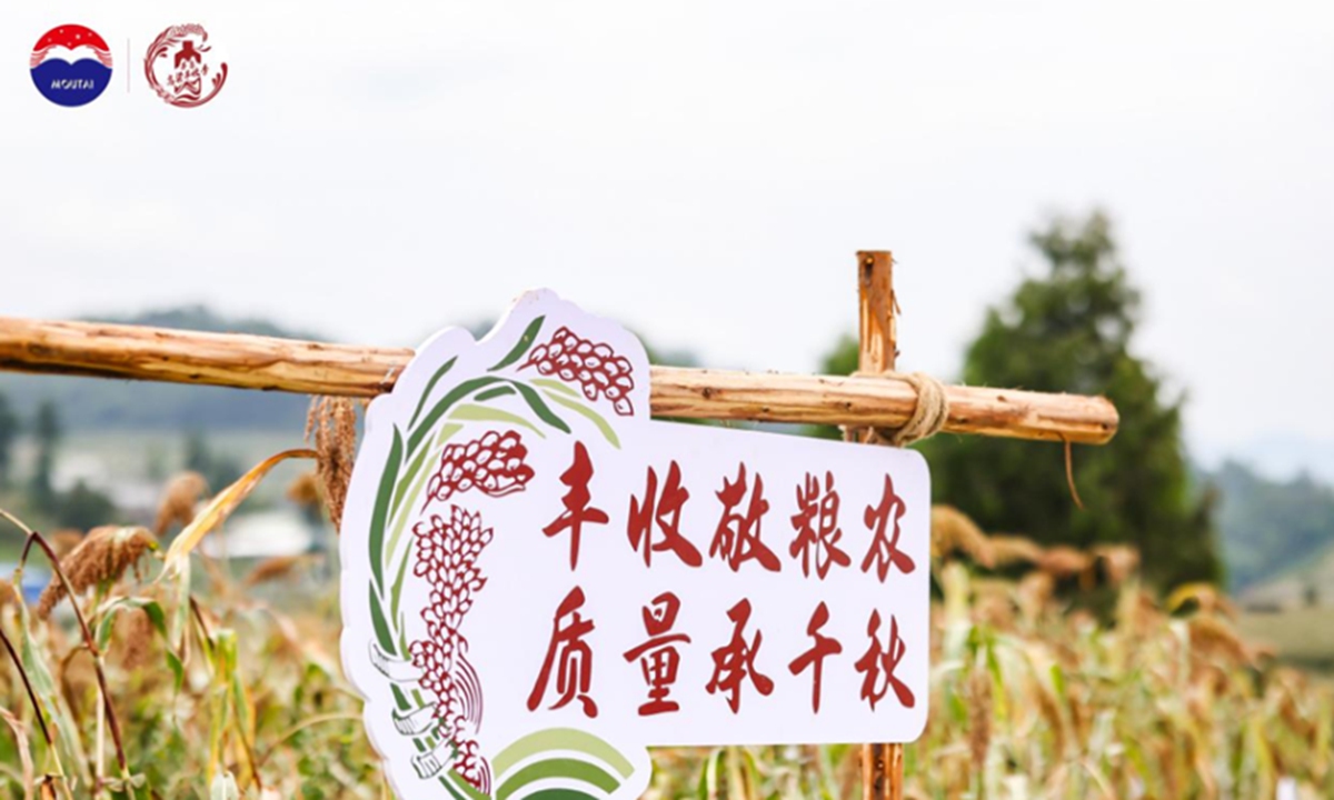 The red harvest alongside the Chishui River