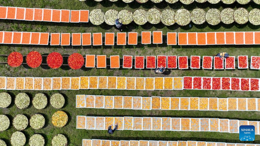 Villagers dry agricultural products in Lutian Village of Tonggu County, Yichun City, east China's Jiangxi Province, on Aug. 26, 2024. (Photo: Xinhua)