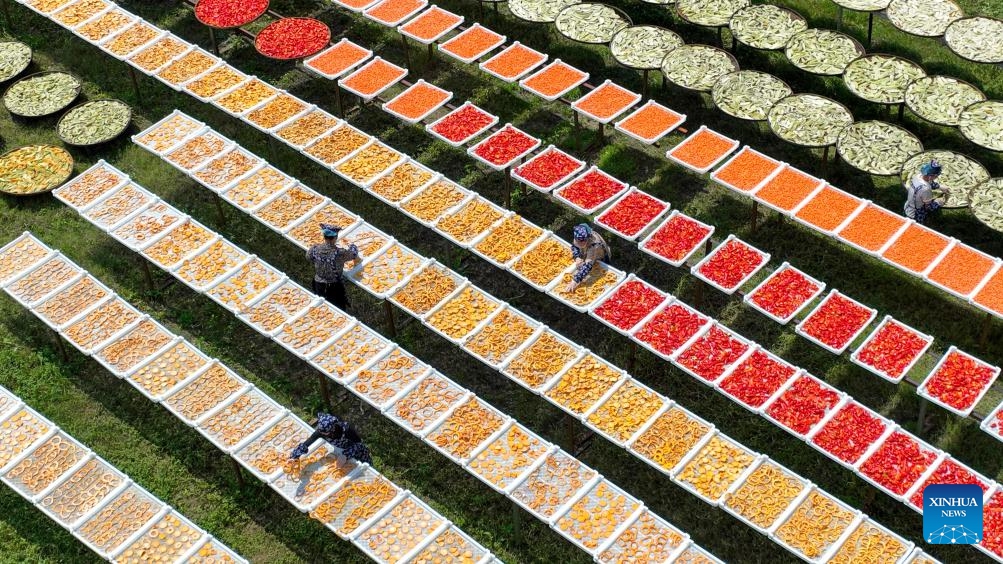 Villagers dry agricultural products in Lutian Village of Tonggu County, Yichun City, east China's Jiangxi Province, on Aug. 26, 2024. (Photo: Xinhua)