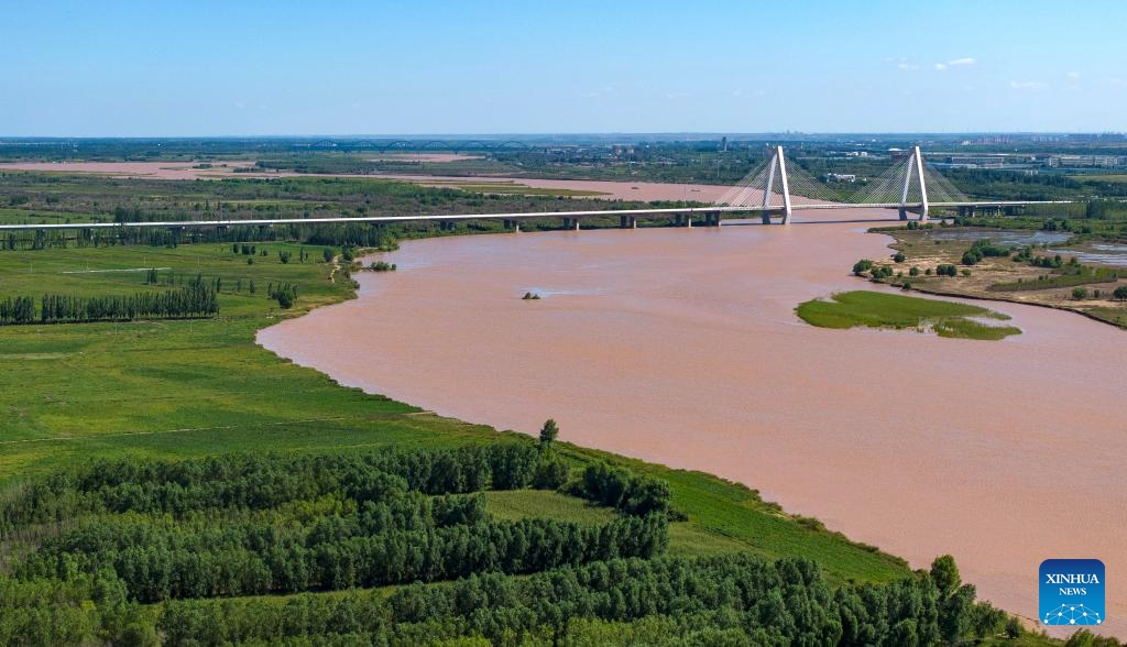 An aerial drone photo taken on Aug. 23, 2024 shows a section of the Yellow River in Qingtongxia City, northwest China's Ningxia Hui Autonomous Region. In recent years, Ningxia has attached great importance to the protection and management of the Yellow River. The region has stepped up efforts to improve the ecological environment in the watershed areas of the river. (Photo: Xinhua)