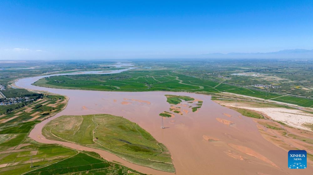 An aerial drone photo taken on Aug. 23, 2024 shows a section of the Yellow River in Qingtongxia City, northwest China's Ningxia Hui Autonomous Region. In recent years, Ningxia has attached great importance to the protection and management of the Yellow River. The region has stepped up efforts to improve the ecological environment in the watershed areas of the river. (Photo: Xinhua)