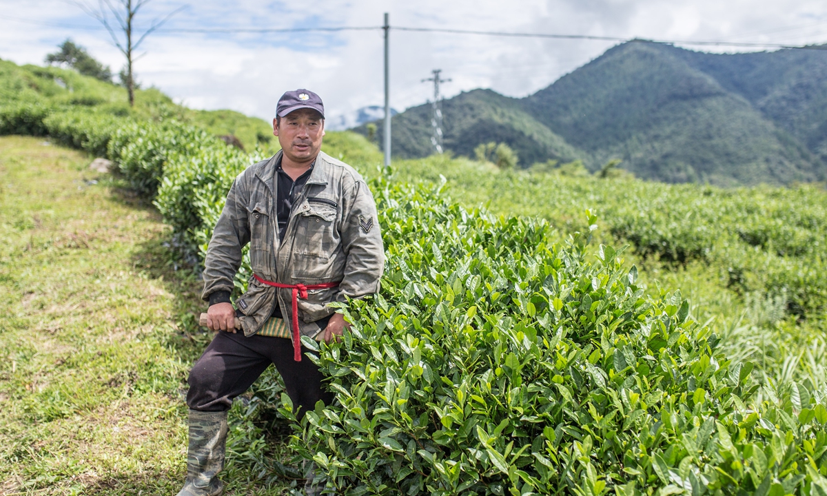 A villager from Gelin village stands in front of a tea plantation in Medog, Southwest China's Xizang Autonomous Region.  Photo: Shan Jie/GT