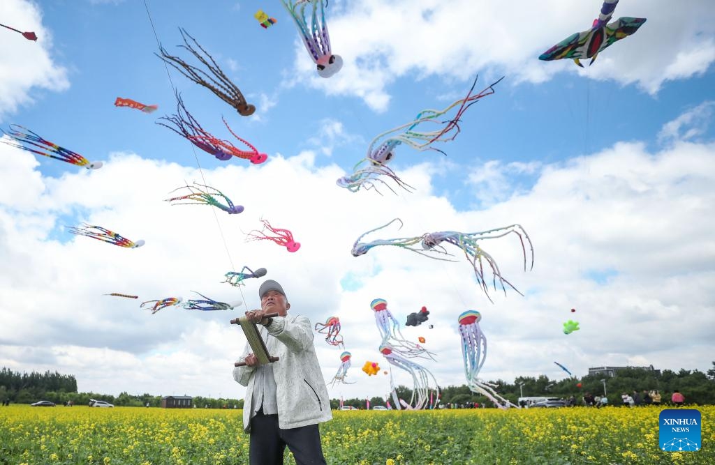 A man flies kites at a kite festival in Kangping County, northeast China's Liaoning Province, May 31, 2024. Following a booming ice-and-snow season last winter, northeast China's attractions, previously renowned for their spectacular winter scenes, are now experiencing a surge in summer tourism. China's northeast region, which boasts abundant ice and snow resources, also has a high forest coverage rate and comfortable temperatures in summer. (Photo: Xinhua)