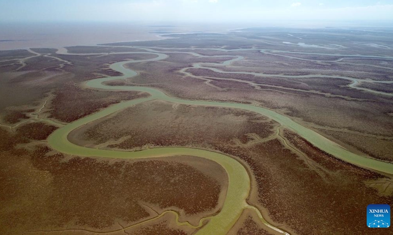 An aerial drone photo taken on Aug. 28, 2024 shows a view of the mudflats of the Yellow River Delta in Dongying, east China's Shandong Province. (Photo: Xinhua)