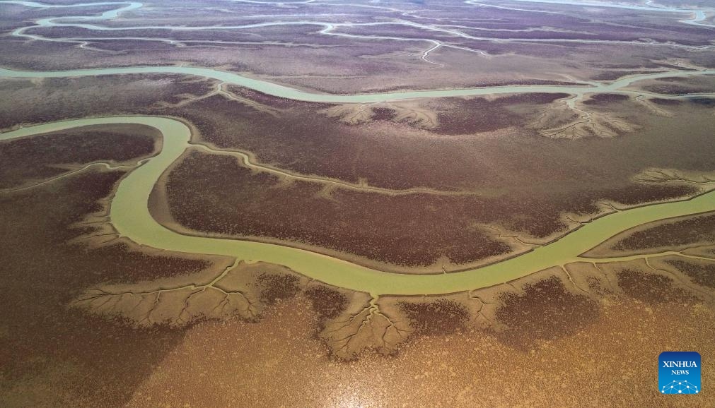 An aerial drone photo taken on Aug. 28, 2024 shows a view of the mudflats of the Yellow River Delta in Dongying, east China's Shandong Province. (Photo: Xinhua)