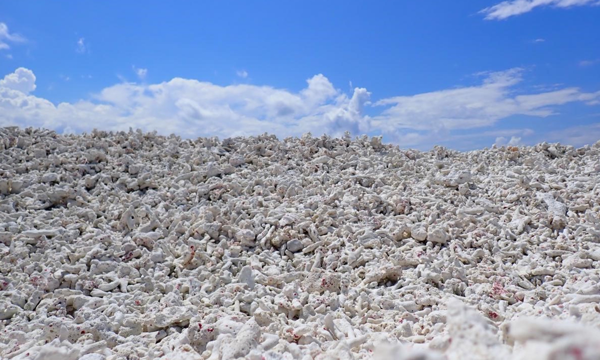 Biological debris distributed on a sandbar of Xianbin Jiao Photo: Courtesy of China's Ministry of Natural Resources