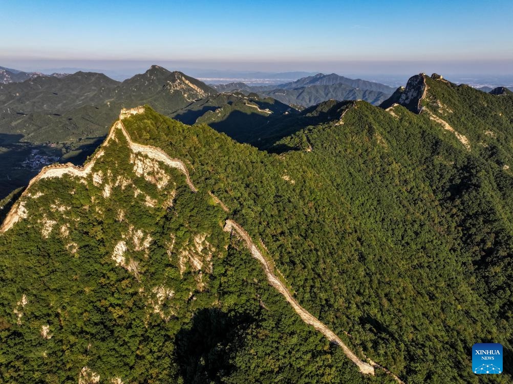 An aerial drone photo taken on Aug. 27, 2024 shows the Jiankou section of the Great Wall in Beijing, capital of China. (Photo: Xinhua)