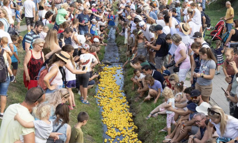 People watch a rubber duck race, also a charity event, in Szentendre, Hungary, on Aug. 31, 2024. (Photo by Attila Volgyi/Xinhua)