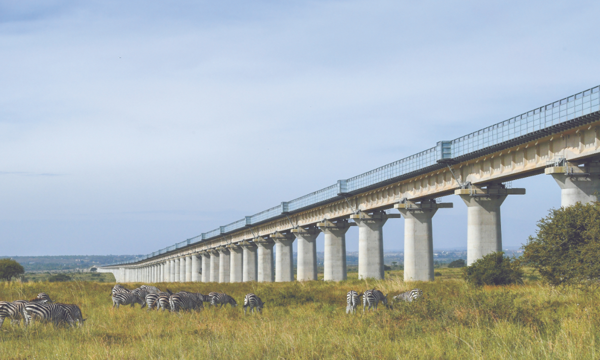 The Mombasa-Nairobi Standard Gauge Railway passes through Nairobi National Park on a fully elevated track, ensuring that wildlife can safely cross beneath the railway in Nairobi, Kenya. The photo is taken on December 5, 2018. Photo: VCG