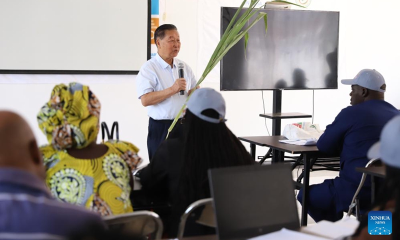 Lin Zhanxi lectures Juncao technology to participants of a training class at the China-Rwanda Agriculture Technology Demonstration Center in Huye District, Southern Province, Rwanda, on Aug. 4, 2024. Since the 1980s, Lin Zhanxi, a professor of Fujian Agriculture and Forestry University, has led a research team on Juncao technology in China's southeastern Fujian Province.

Juncao means mushroom and grass in Chinese. Its versatility is a key feature, allowing it to grow edible mushrooms, provide livestock feed and help battle desertification.

Since the 1990s, China has shared the technology with over 100 countries by opening training classes and conducting on-site demonstrations.

By now, Juncao technology has taken root in more than 40 African countries, helping African farmers combat poverty and promoting cooperation between China and Africa. Photo: Xinhua