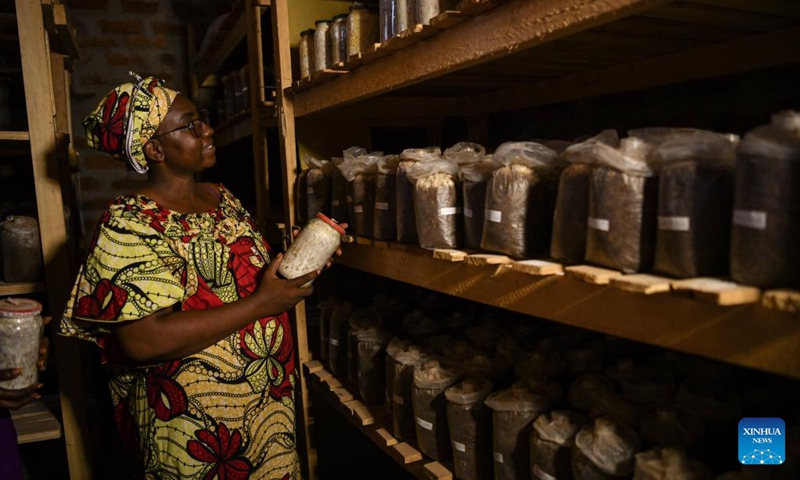 Fatime Abba Rekya checks bags of mycelium in Damara, the Central African Republic, Feb. 6, 2024. Fatime Abba Rekya learns Juncao technology on a training class in Bangui in 2022. Since the 1980s, Lin Zhanxi, a professor of Fujian Agriculture and Forestry University, has led a research team on Juncao technology in China's southeastern Fujian Province.

Juncao means mushroom and grass in Chinese. Its versatility is a key feature, allowing it to grow edible mushrooms, provide livestock feed and help battle desertification.

Since the 1990s, China has shared the technology with over 100 countries by opening training classes and conducting on-site demonstrations.

By now, Juncao technology has taken root in more than 40 African countries, helping African farmers combat poverty and promoting cooperation between China and Africa. Photo: Xinhua