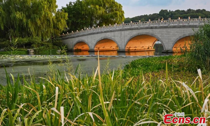 Scenery of Zhong Yu Bridge with sunset glow shining through its holes on Xuanwu Lake in Nanjing, east China's Jiangsu Province, Aug. 29, 2024. Photo: China News Service