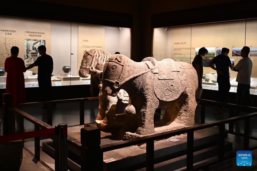 Stone statues of horses are seen in Ningxia Museum in Yinchuan, capital of northwest China's Ningxia Hui Autonomous Region, Sept. 1, 2024. As one of China's national first-grade museums, Ningxia Museum showcases the rich culture and history of Ningxia. (Photo: Xinhua)