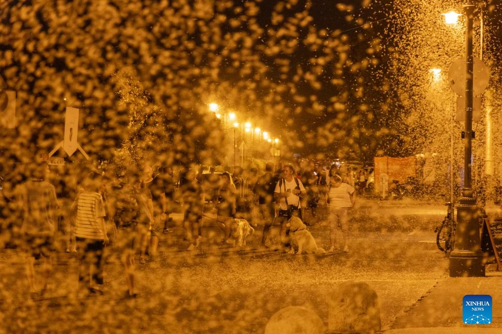 Swarms of mayflies are pictured in Szentendre, Hungary on Sept. 1, 2024. (Photo: Xinhua)